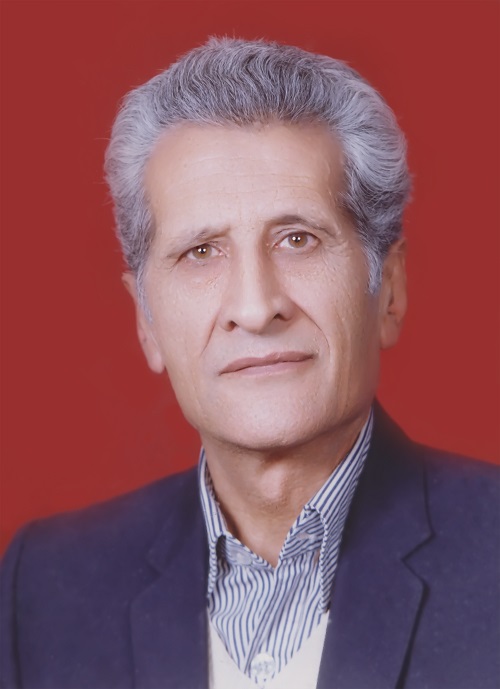 تصویر مرحوم محسن ملک