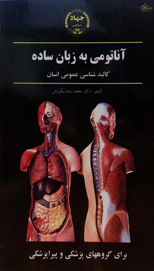 آناتومی به زبان ساده